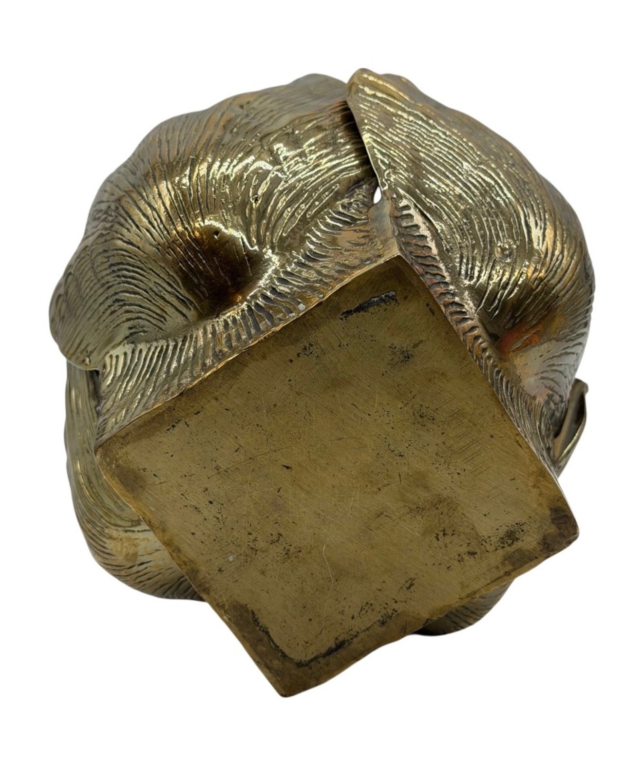 Brass Shell Cachepot