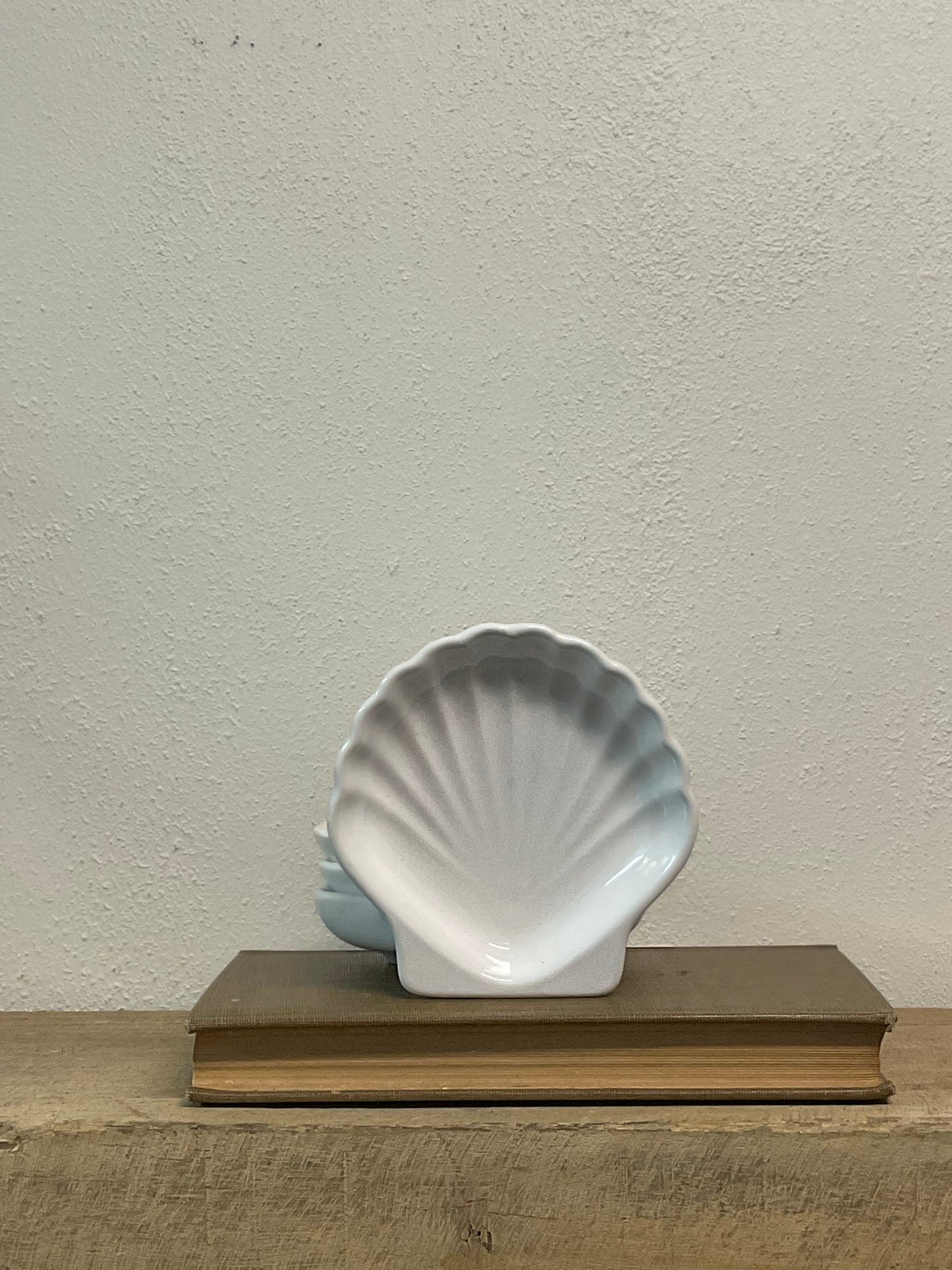 White Clam Shell Dish