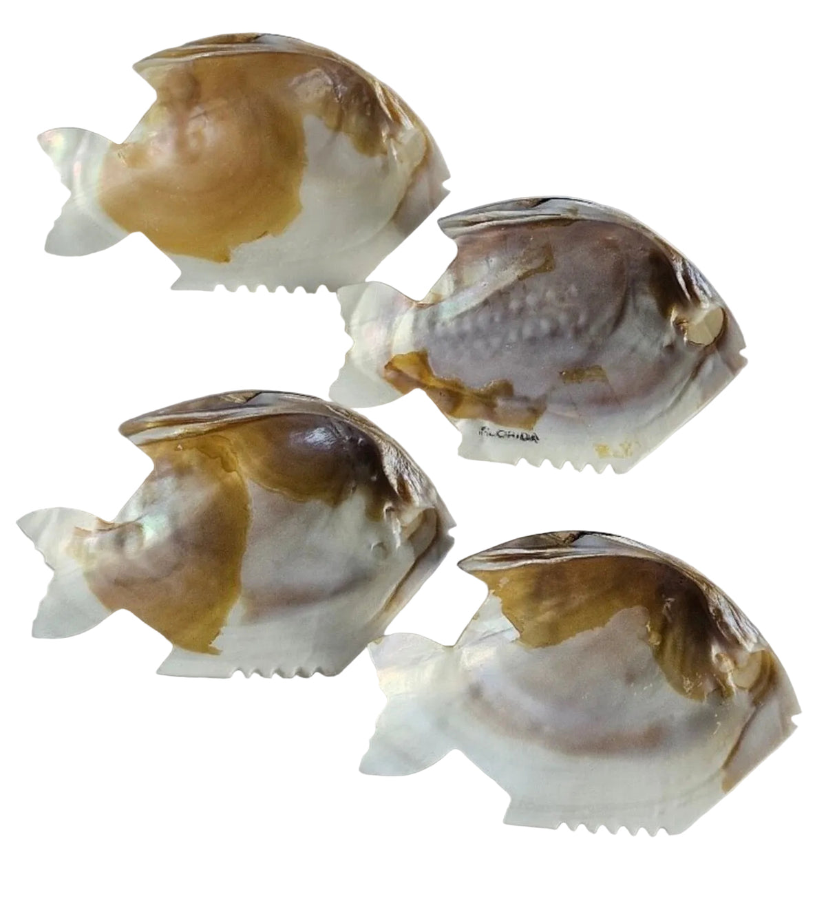 MOP Carved Shell Fish Dish - Sold Seperatly