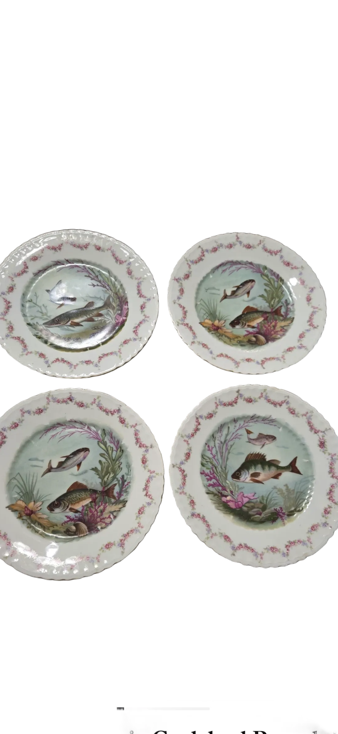 Victoria Austria Fish Plate with Floral Rim