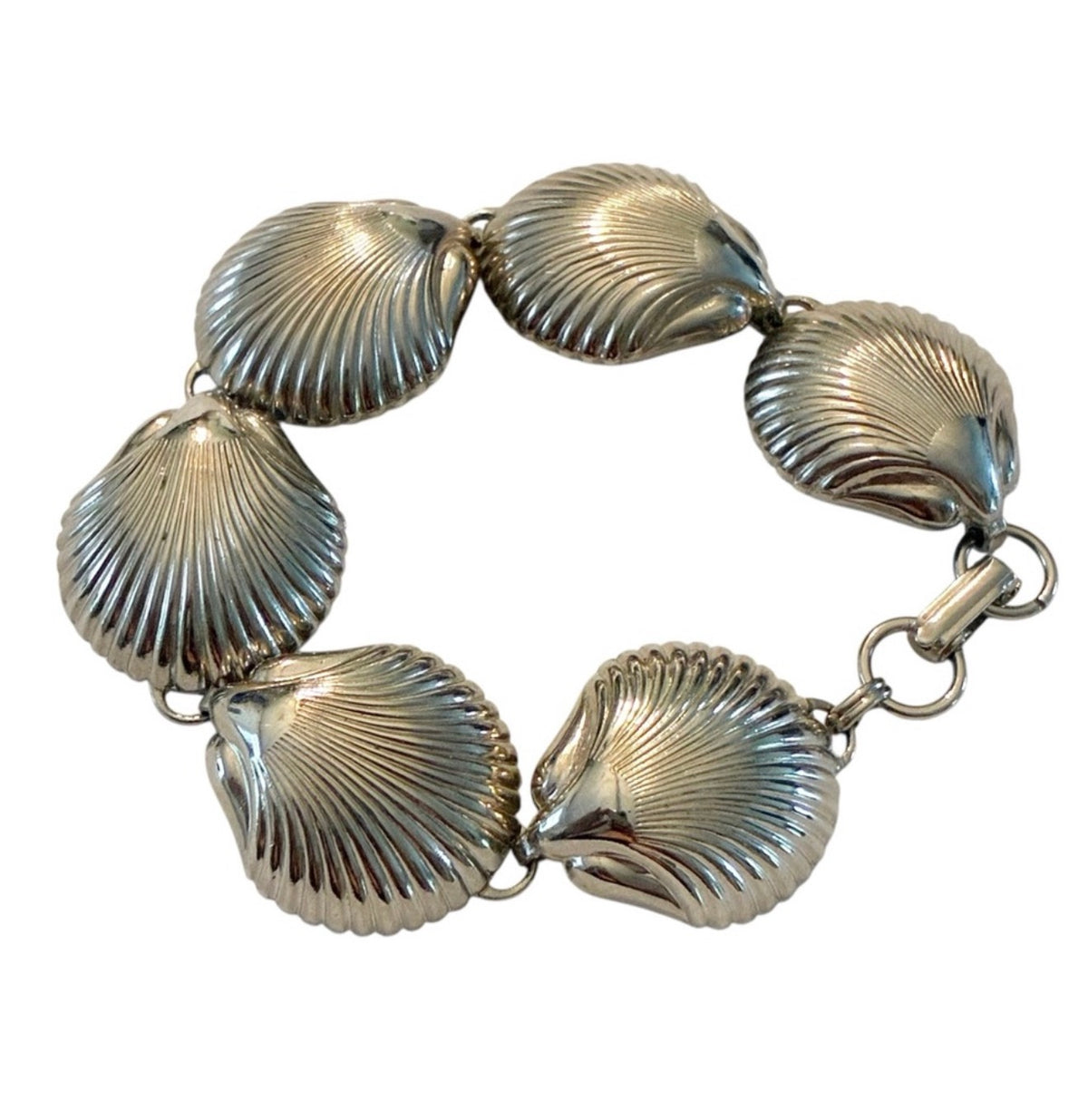 Scallop Shell Bracelet