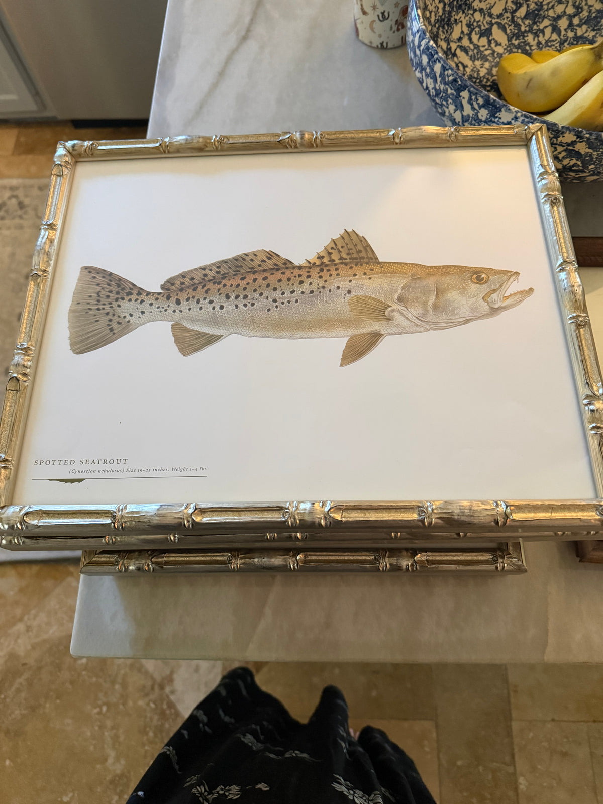 Gulf Fish Prints in Modern Bamboo Frame