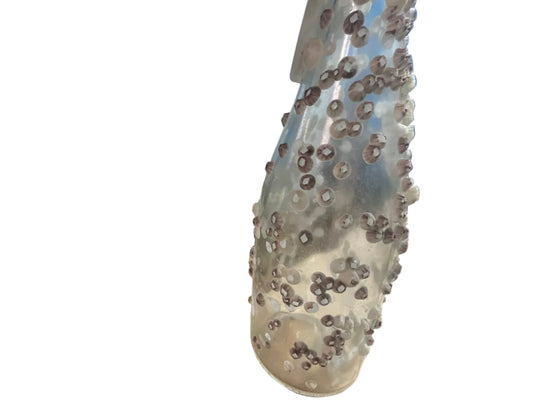 Clear Barnacle Bottle