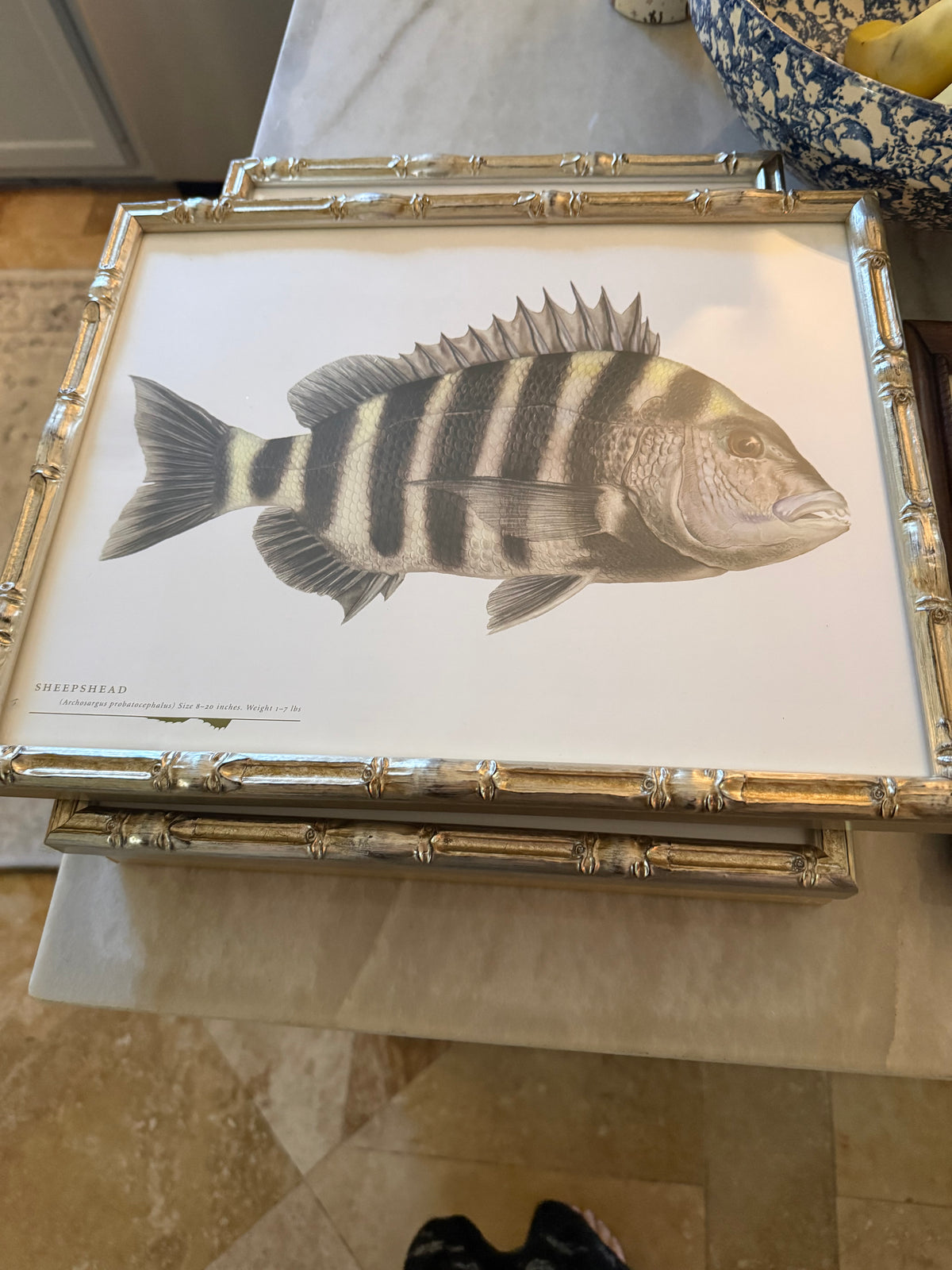 Gulf Fish Prints in Modern Bamboo Frame
