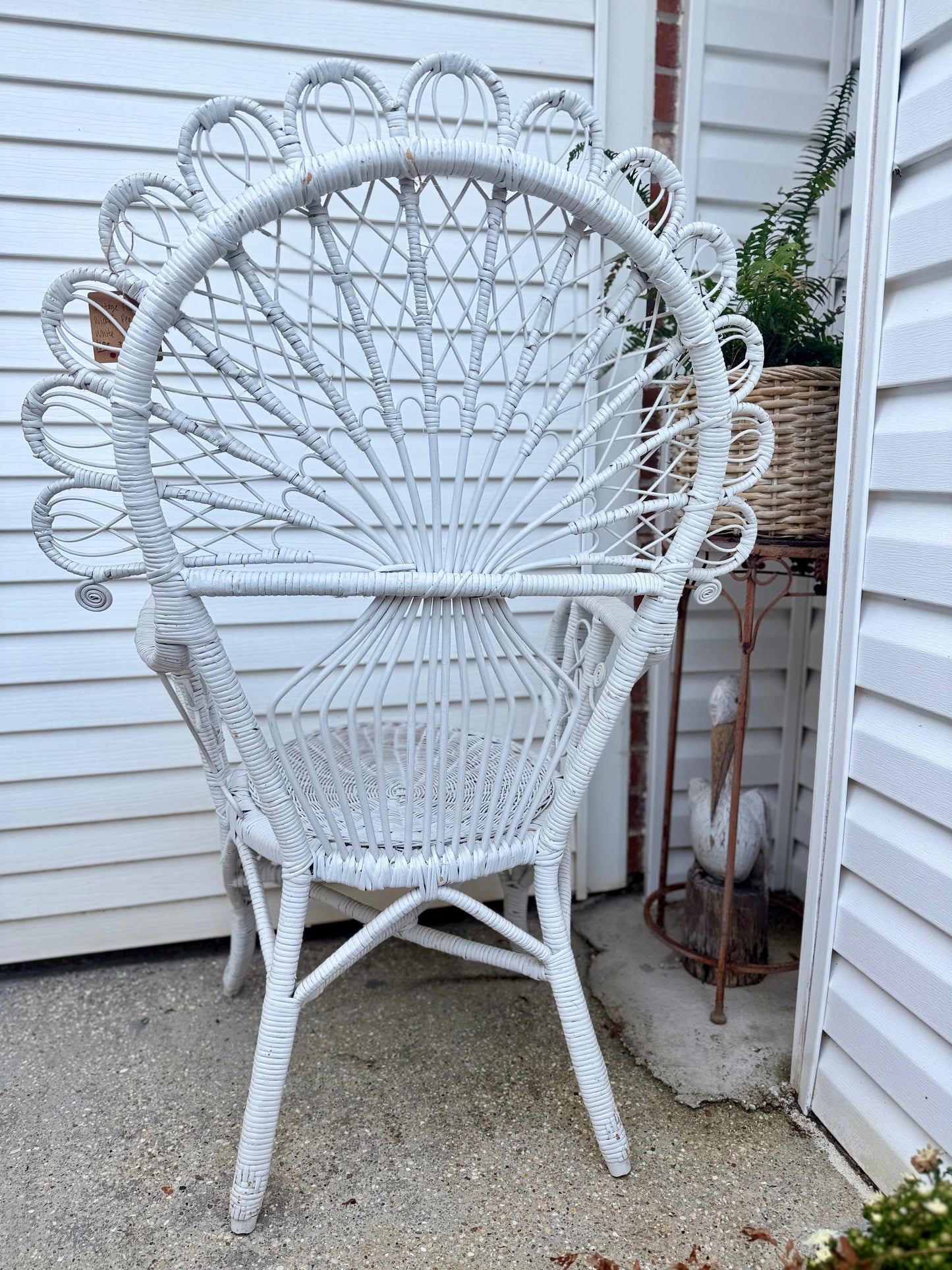 Fiddlehead Peacock Chair