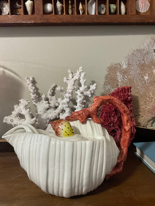 ‘Coral and Shells’ Conch Shell Tea Pot