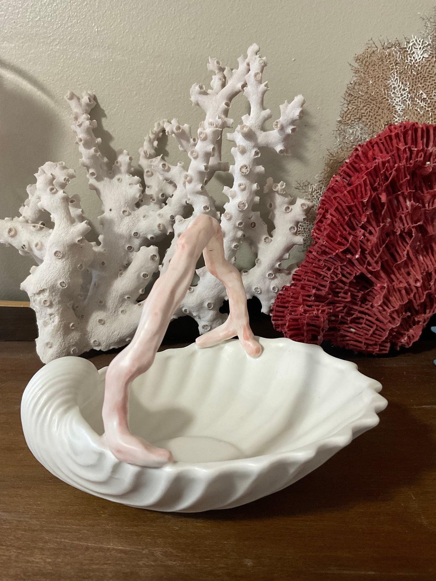 ‘Oceana’ Shell w/ Coral Handle Dish