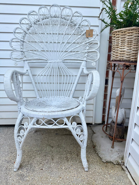 Fiddlehead Peacock Chair