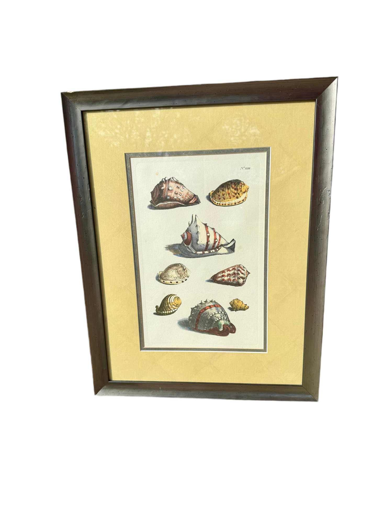 Jacob de Later, 8 Shell Engraving