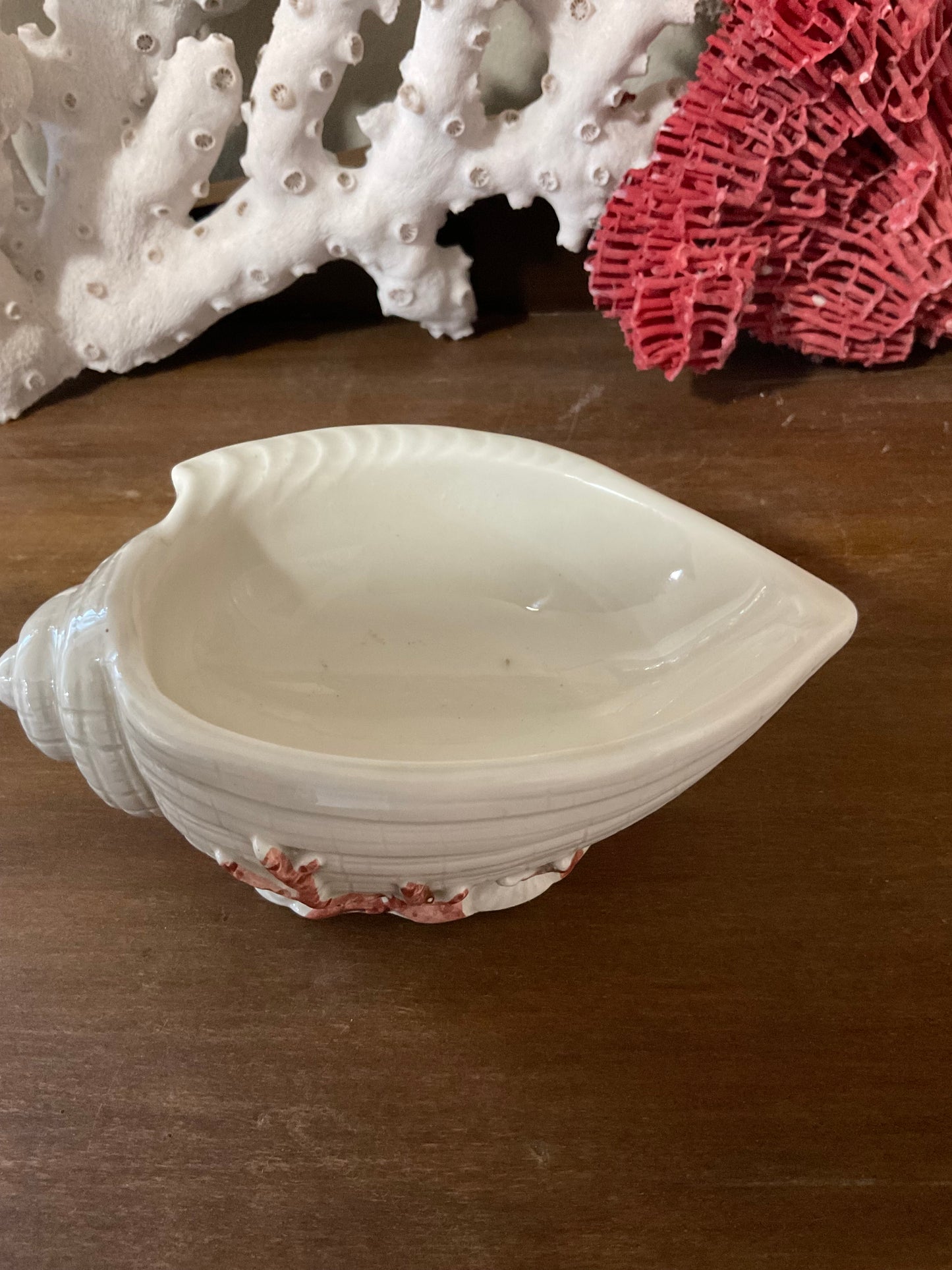 ‘Oceana’ Conch Dish