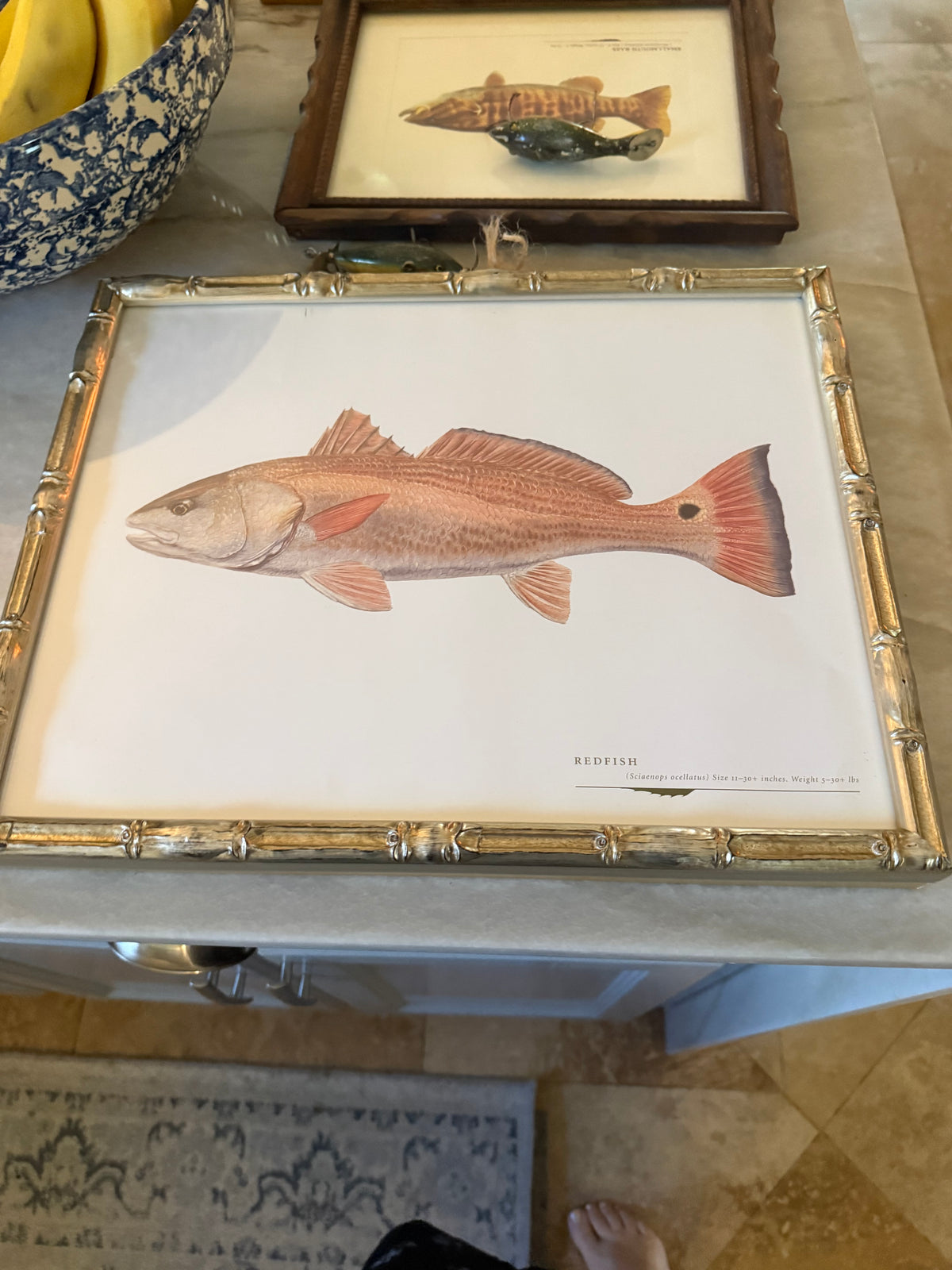 Gulf Fish Prints in Modern Bamboo Frame