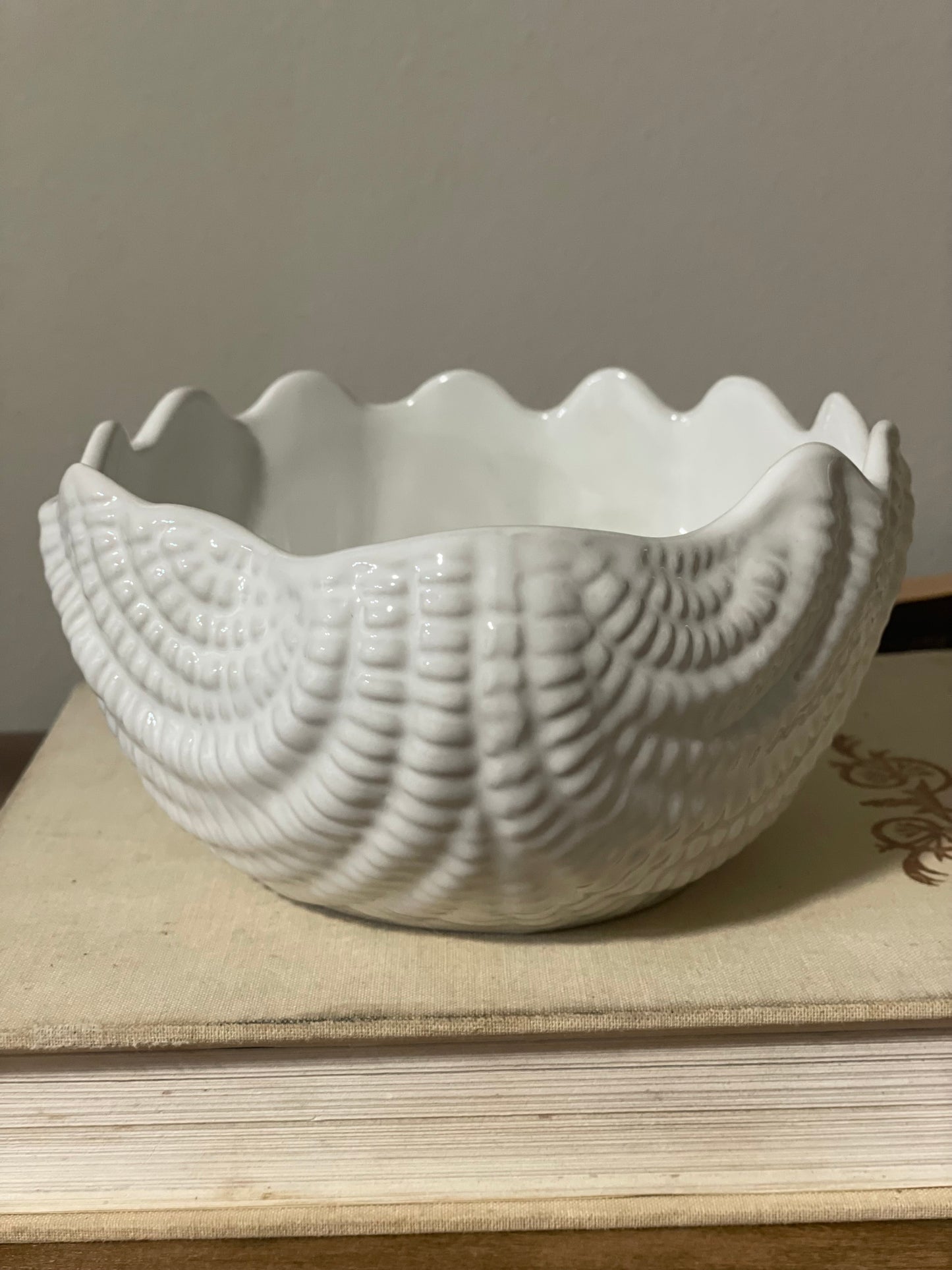 White Shell Bowl