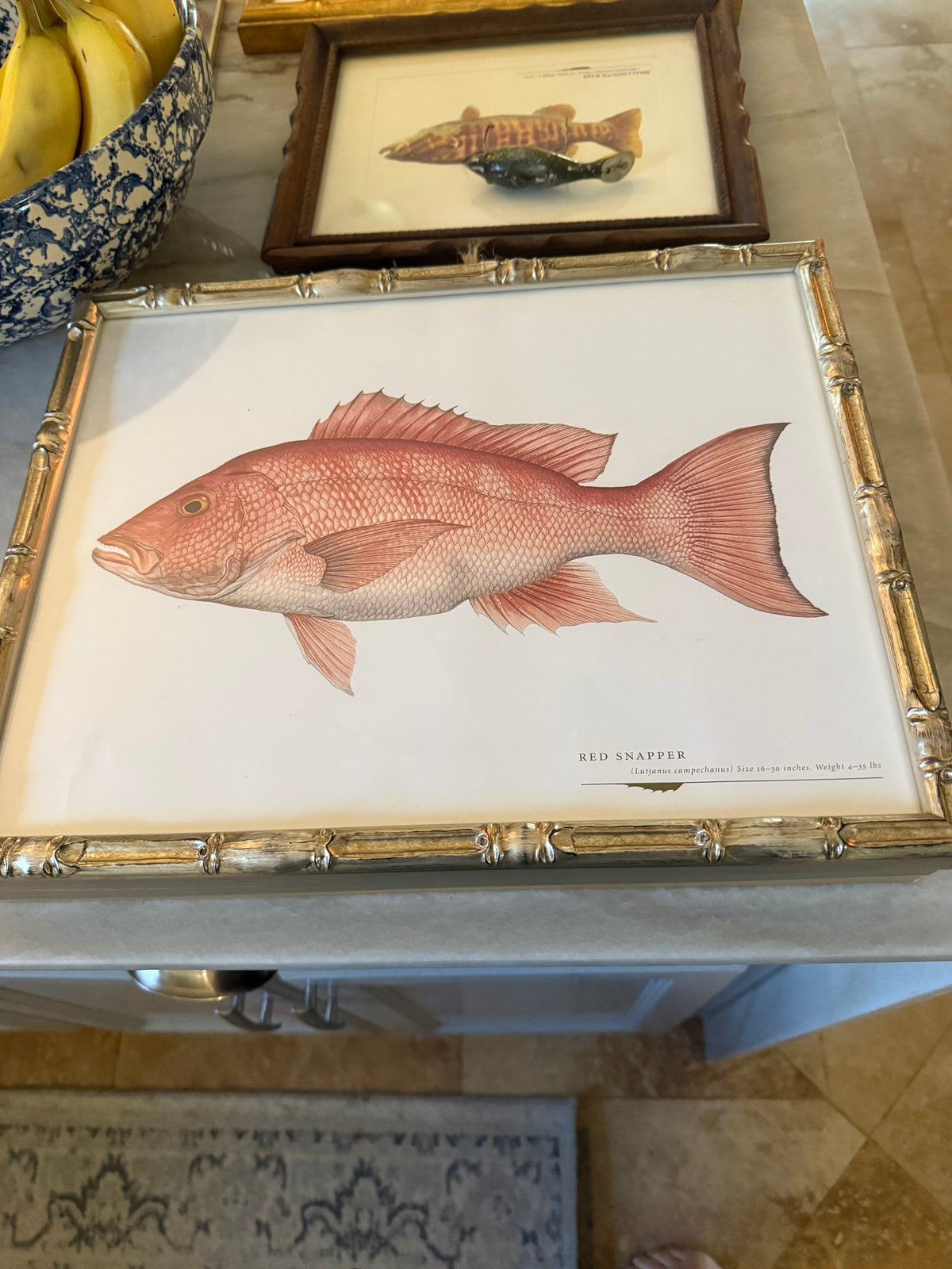 Gulf Fish Prints in Modern Bamboo Frame