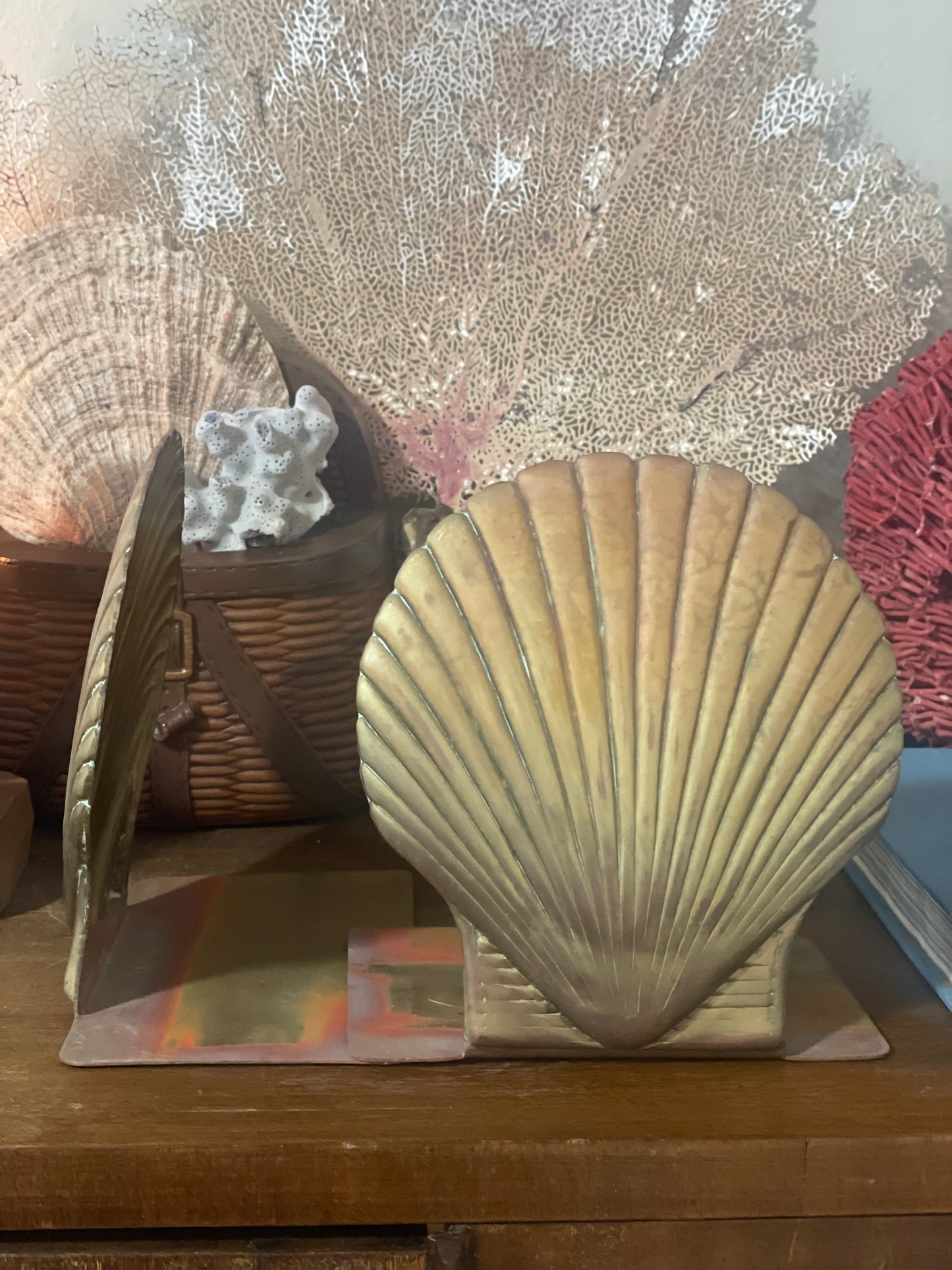 Brass Scallop Shell Bookends