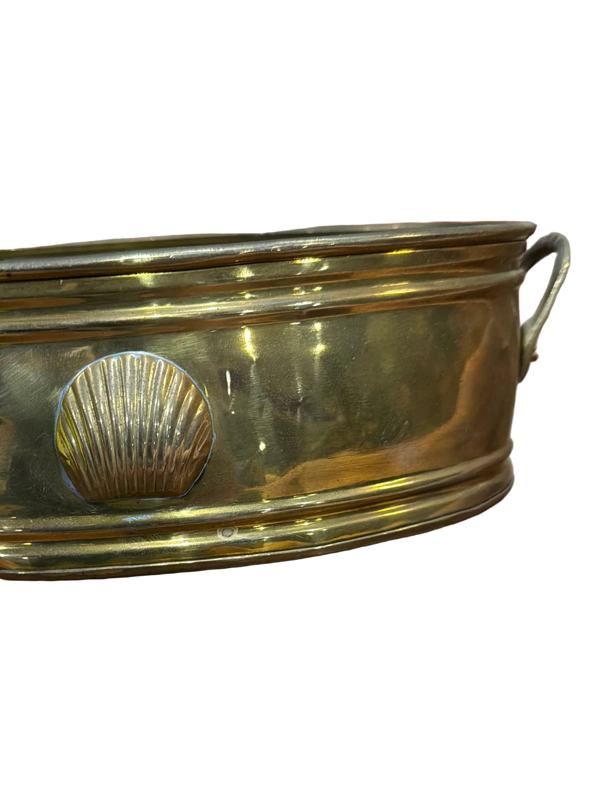 Brass Shell Oval Container Planter