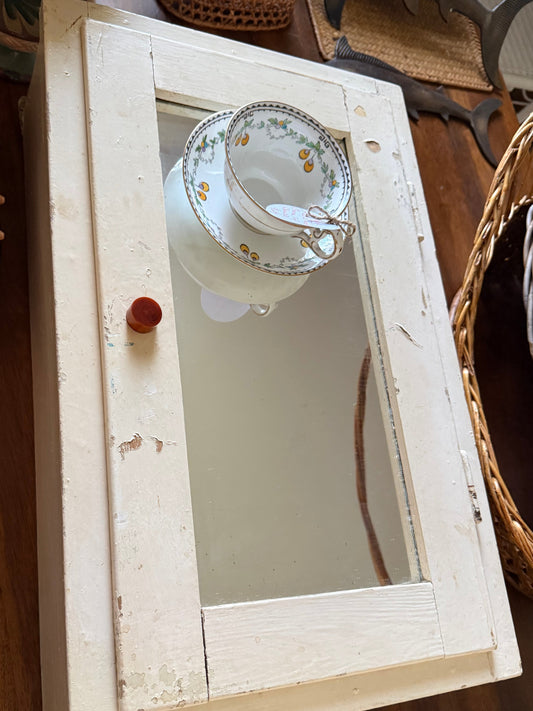 Medicine Cabinet with Shelves and Double Mirror