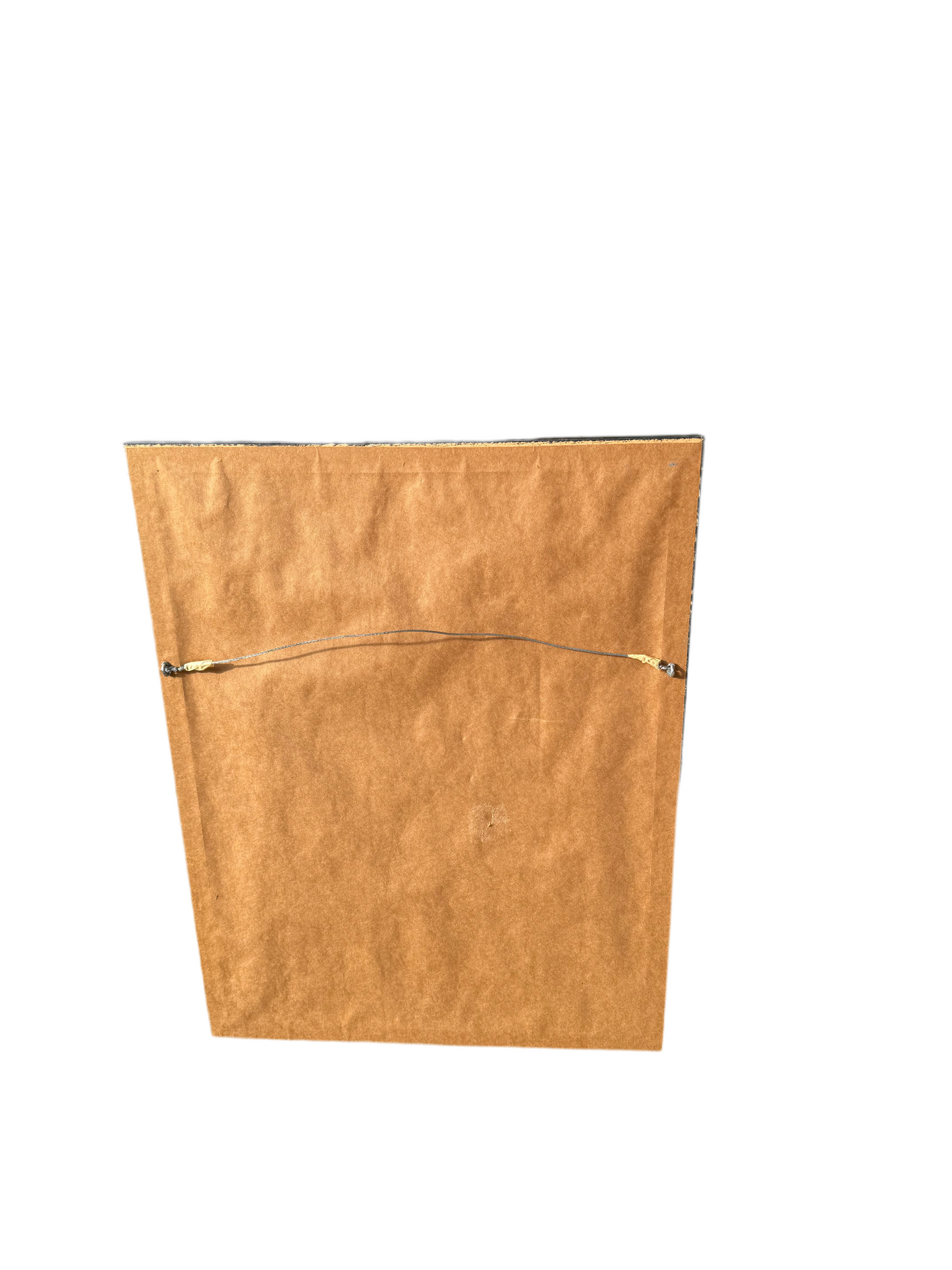 Rumphius’ Shell Book Plate Engraving