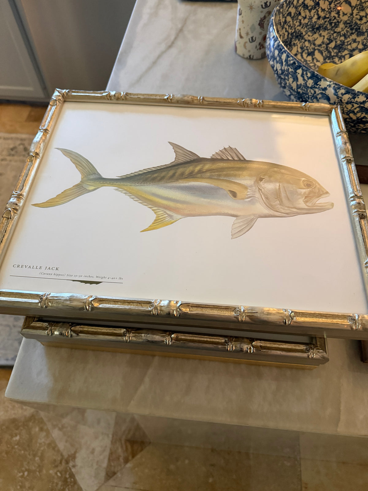 Gulf Fish Prints in Modern Bamboo Frame