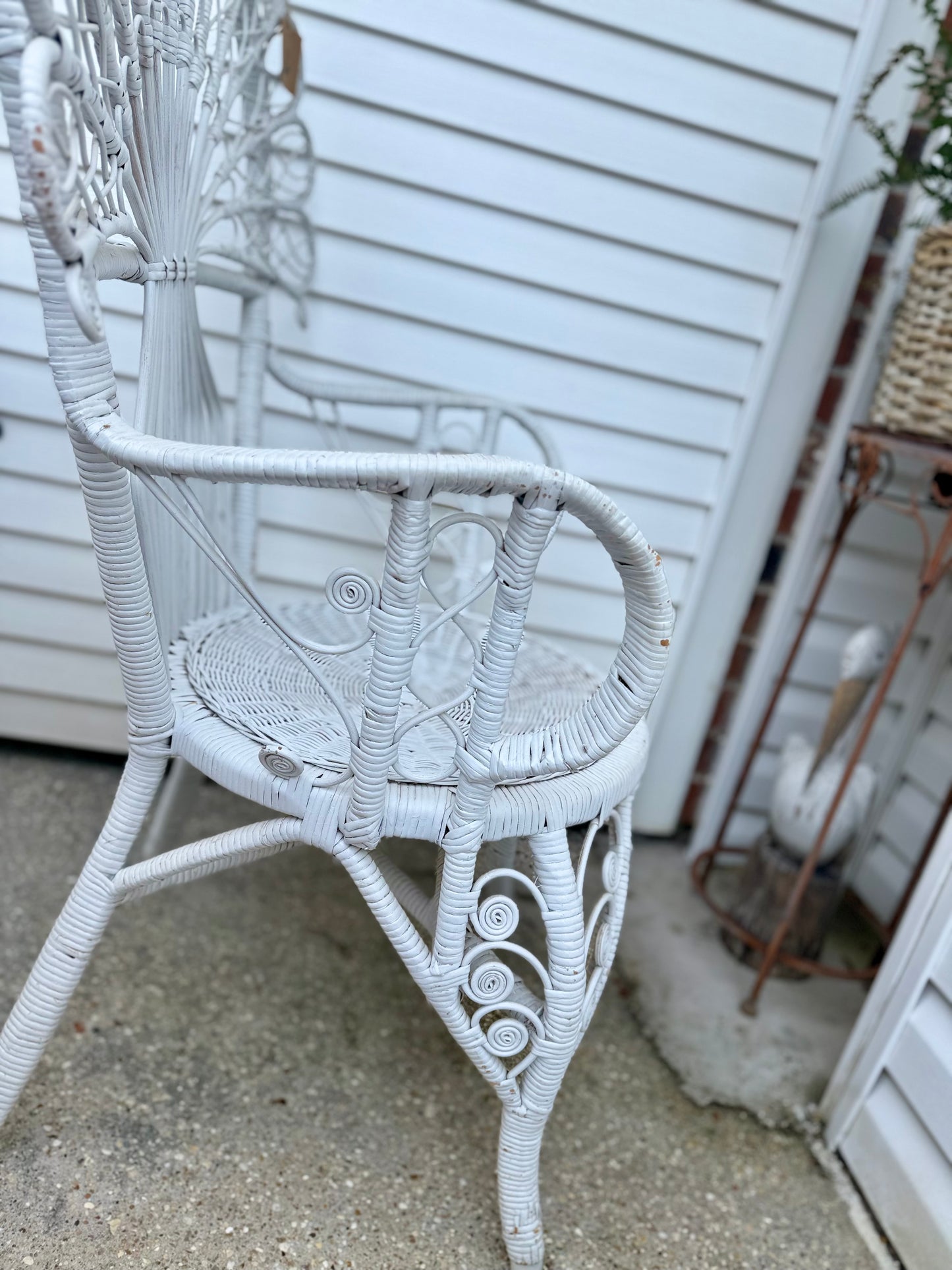 Fiddlehead Peacock Chair