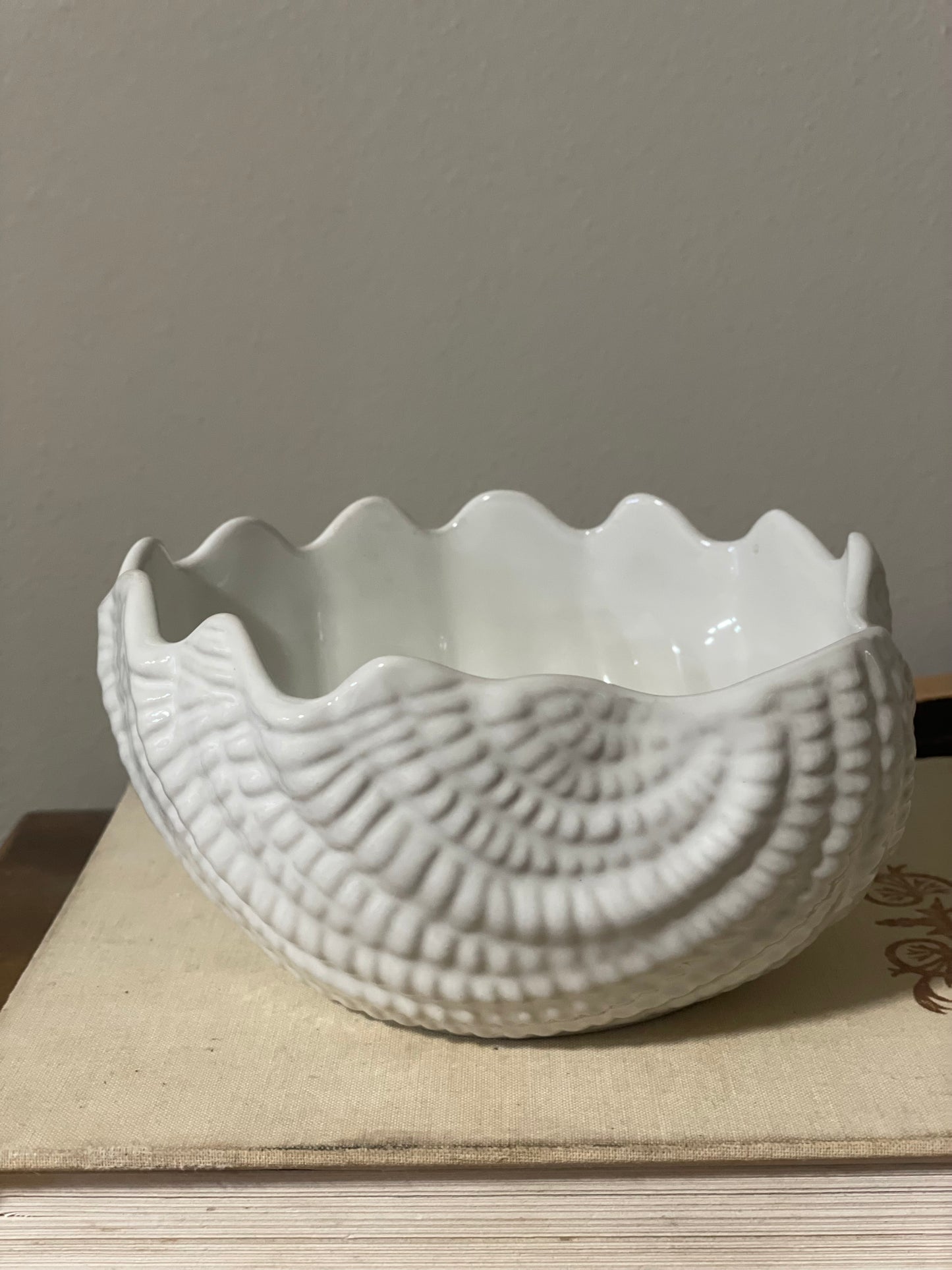 White Shell Bowl