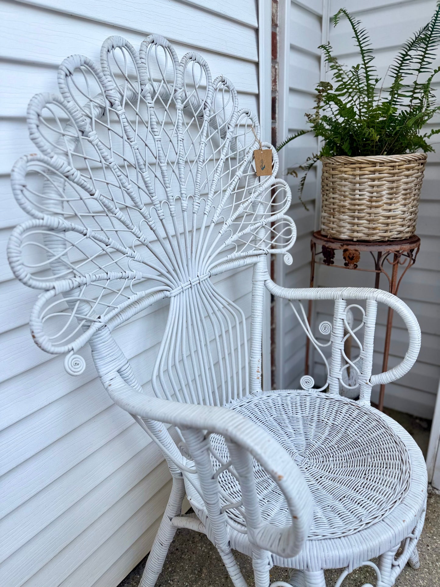 Fiddlehead Peacock Chair