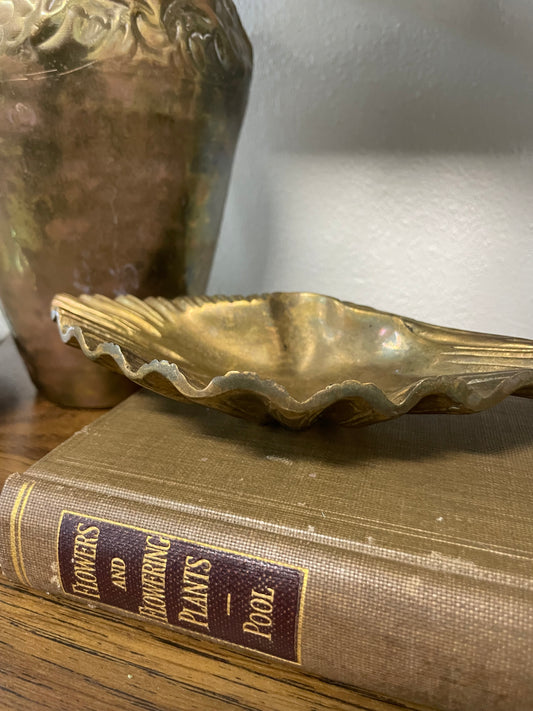 Brass Clam Shell Dish