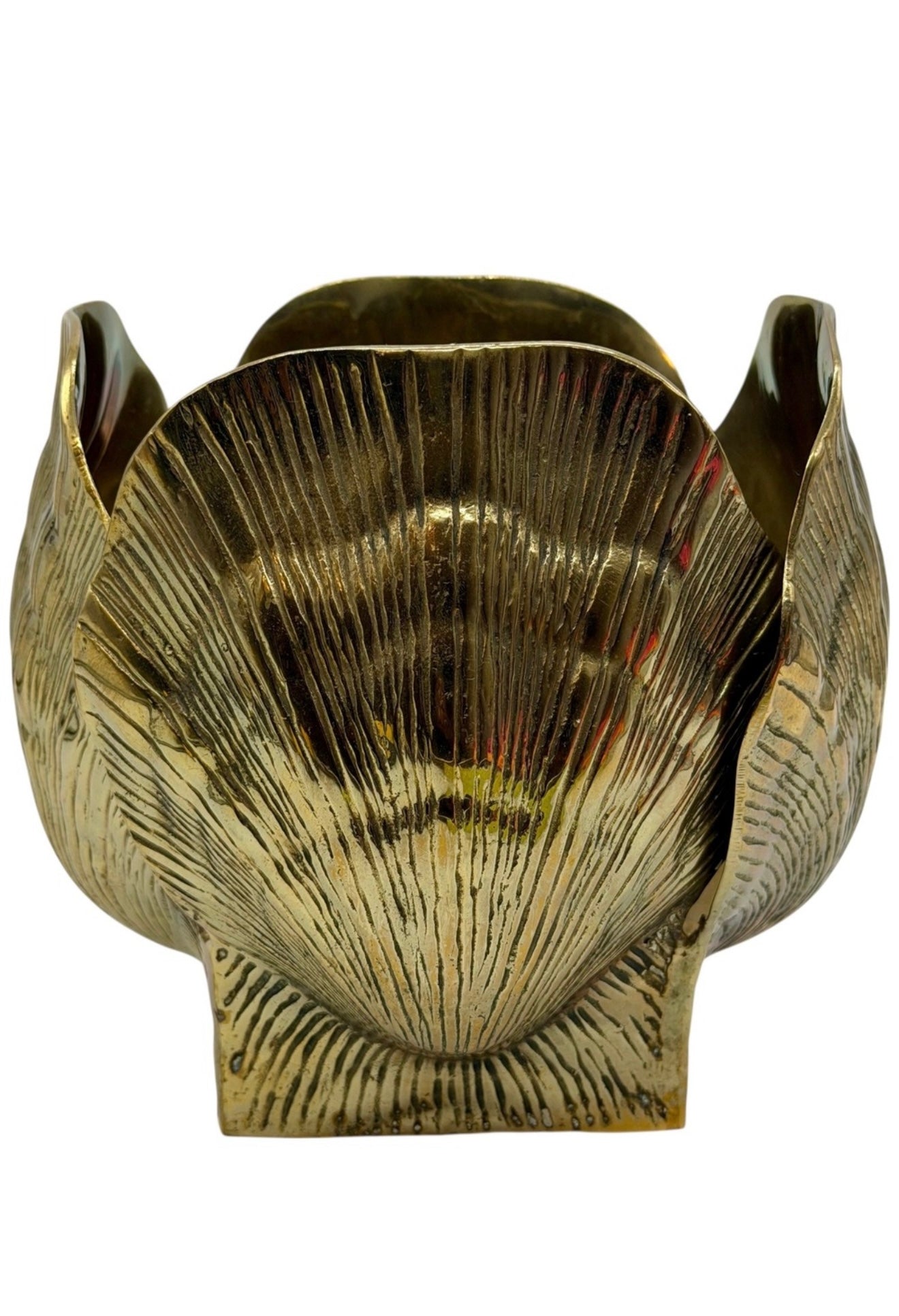 Brass Shell Cachepot