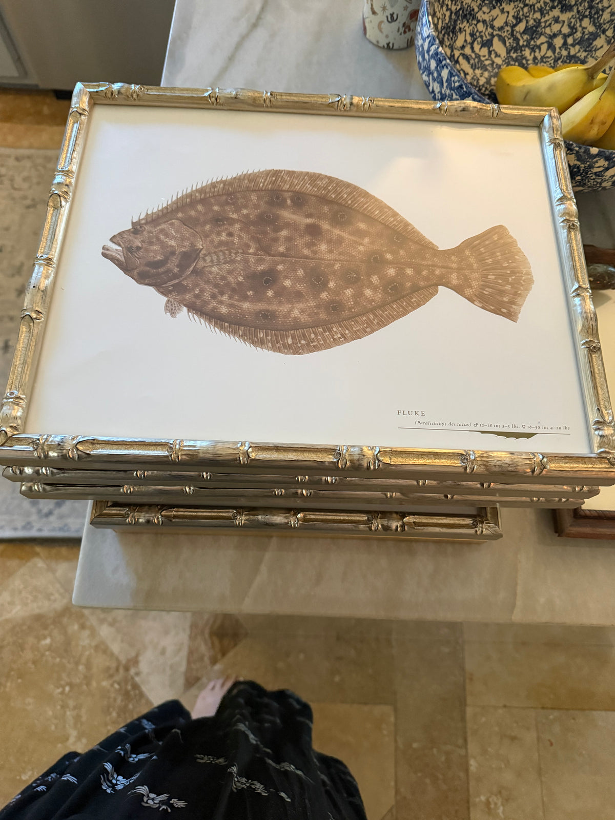 Gulf Fish Prints in Modern Bamboo Frame