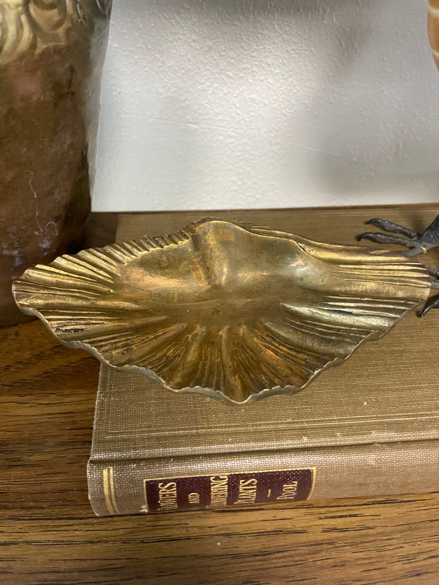 Brass Clam Shell Dish