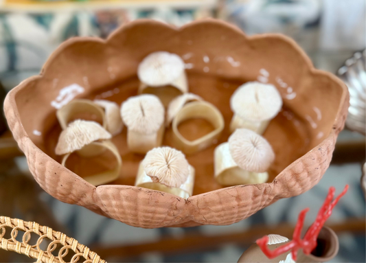Mushroom Coral and Capiz Shell Napkin Rings