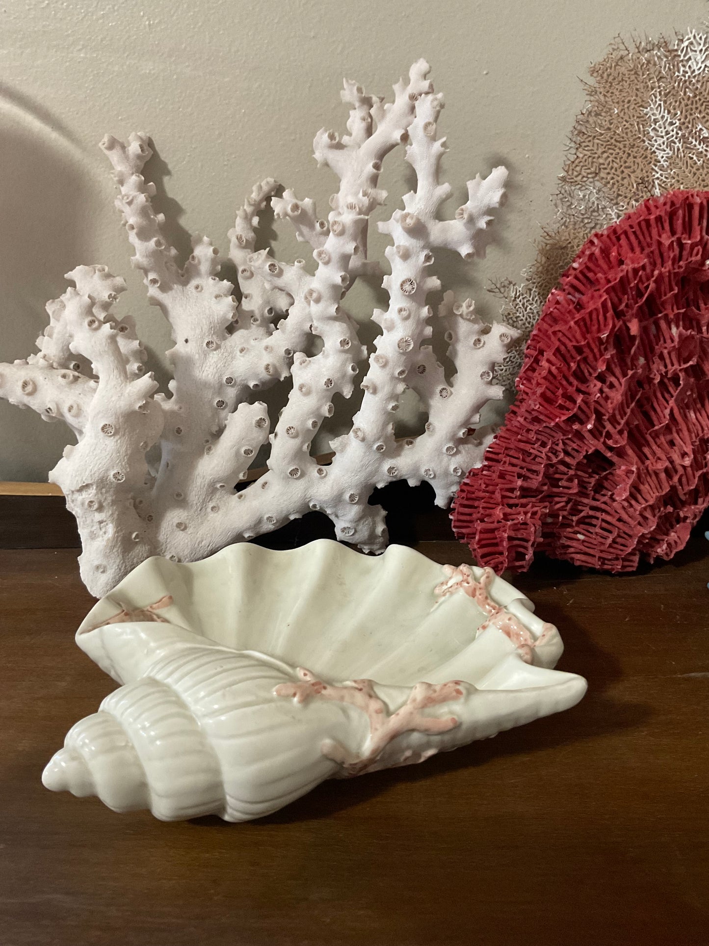 ‘Oceana’ Shell Dish