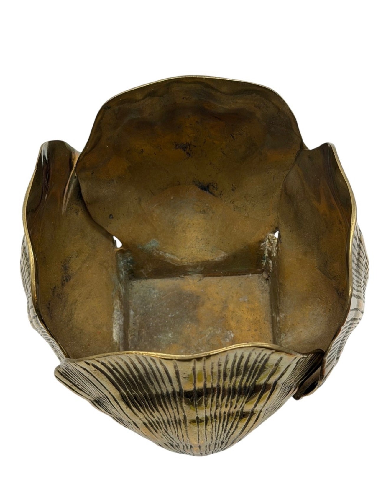 Brass Shell Cachepot