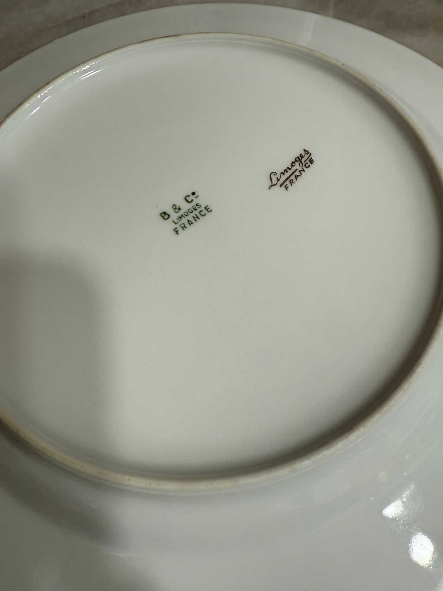 Limoges Fish Plate Set w/ Platter