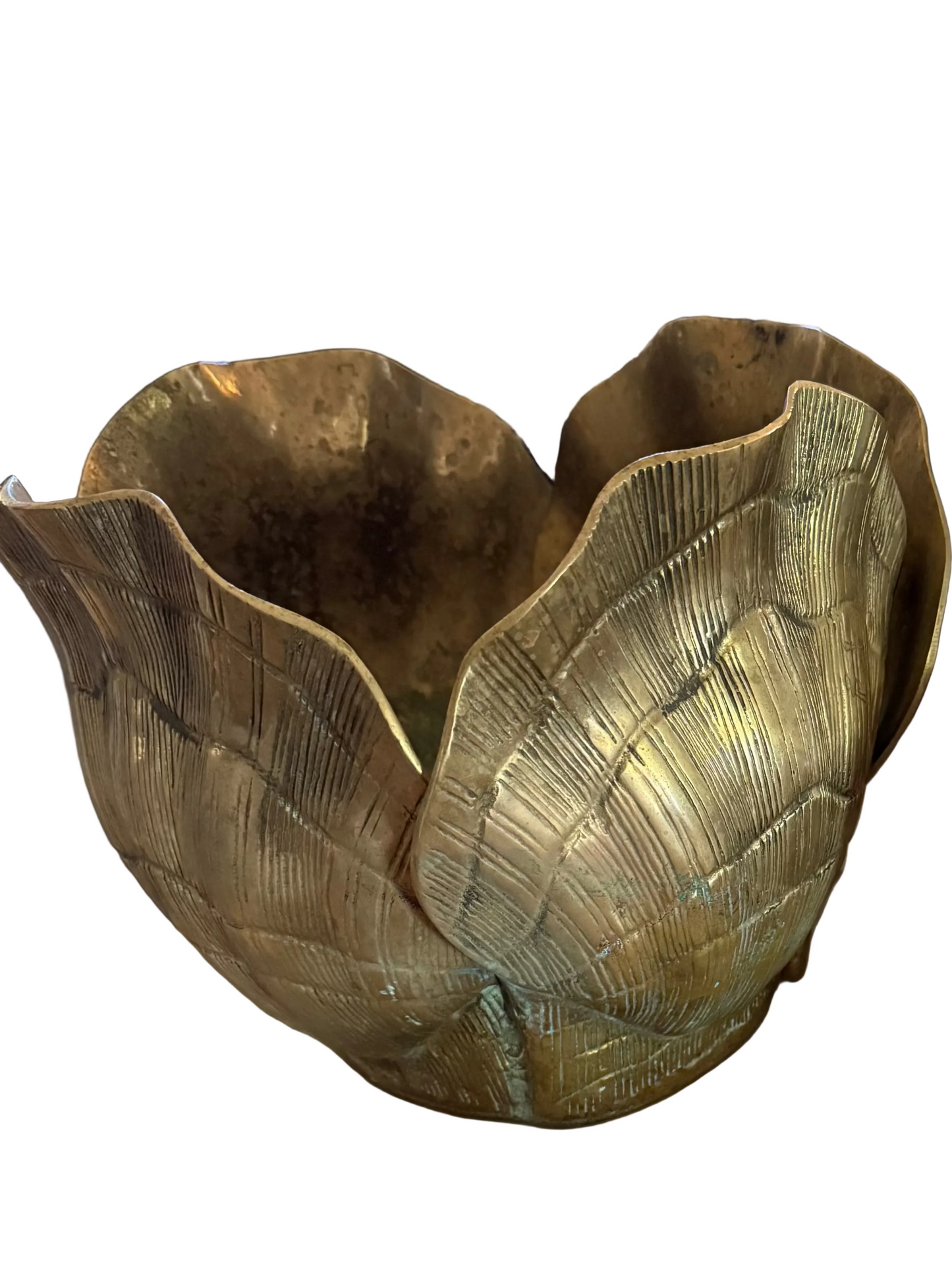 Brass Shell Cachepot x-large